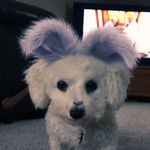 Mason Grimes - @mason_grimes15 - Instagram