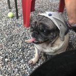 Mason Groves Farm - Facebook
