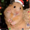 masonguerra87 - @masonguerra87 - TikTok