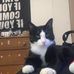 Mason Ham - Facebook