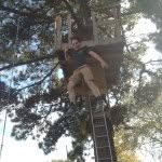 Mason - @mason_hammonds - Instagram