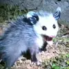 Hampton_Mason - @hampton_mason - TikTok