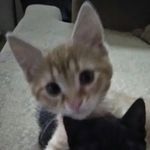 Mason Harrison - @this_is_mason_harrison_ - Instagram