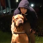 Mason Harrison - @mason.harrison.186 - Instagram