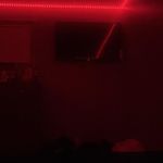 Mason Harvey - @masonharvey67 - Instagram