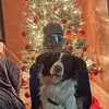 Mason Harvey - @masonharvey4 - TikTok