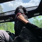 Mason Harvey - @masonharvey183 - Instagram