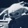 masonsthearn - @masonsthearn - TikTok