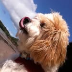 Mason Heath - @mason.heath.75033 - Instagram