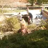 mason - @mason_herman - TikTok