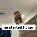 mason herrera bullock - @masons_life_332 - Instagram