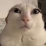 Mason Herrick - @dophinsfan05 - Instagram