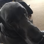 Mason Hickman - @masonhickman21 - Instagram
