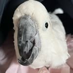 Mason Hickman - @masonth1578 - Instagram