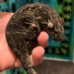 @masonhoff - Instagram