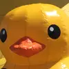 Sir Boomsalot - @mason_hoff329 - TikTok
