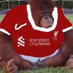 Mason hogan - @masonhogan499 - Instagram