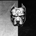 Mason Holt - @mason_holt20 - Instagram