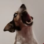 Mason - @mason._.holt - Instagram