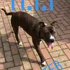 Mason Howell - @yxng.10_08 - TikTok