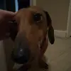Mason Howell - @mason.howell55 - TikTok