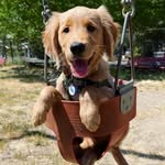 Mason Huckleberry - @mason_huckleberry - Instagram