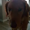 masonhuck870 - @masonhuck870 - TikTok
