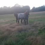 mason hunter enoch - @masonenoch2006 - Instagram