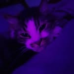 Mason Hurst - @hurstm13 - Instagram