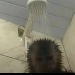 Masonjamison - @bigboymason111 - Instagram