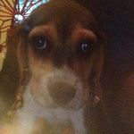 Mason Johnston - @mason_johnston764 - Instagram