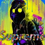 Mason Keller - @mason.keller.355 - Instagram