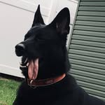 Mason Keller - @masonkeller35 - Instagram