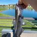 Mason Keyser - Facebook