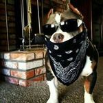 Mason Kidd - @mason5904 - Instagram