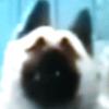 masonkidd74 - @masonkidd74 - TikTok