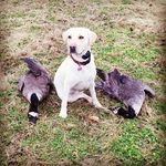 Mason Kline - @masonkline080 - Instagram