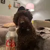 user7163503342682 - @mason.kline21 - TikTok