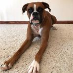 Mason Klug - Facebook