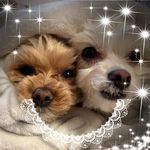Shelley Mason Knowles - @shelleybelley3 - Instagram