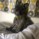 Mason Mason - @mason.tw.lacy - Instagram
