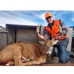 Mason Lammers44 - @lammers44 - Instagram