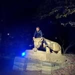Mason Lanning - @masonlanning - Instagram