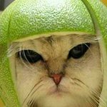 Mason Larson - @mason.larson.75 - Instagram
