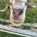 Mason Leach - Facebook