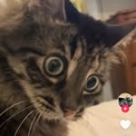 Mason Lear - @crimson2607 - Instagram