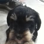Mason Lease - Facebook