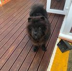 Mason Lees - Facebook