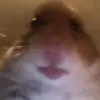 Masonlee23 - @masonleethacker23 - TikTok
