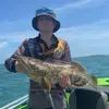 Mason light - @nrlfishingmotomaso - TikTok